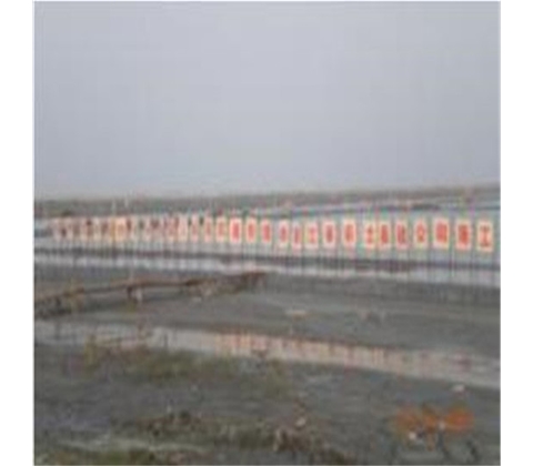 溫州民科永興南園軟基處理工程